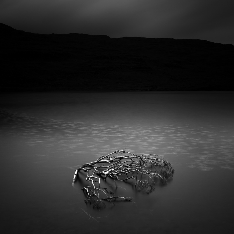 400 No future by Michel Rajkovic