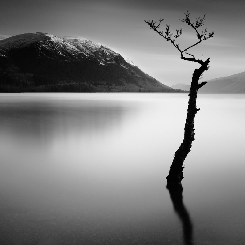 350 Hope by Michel Rajkovic